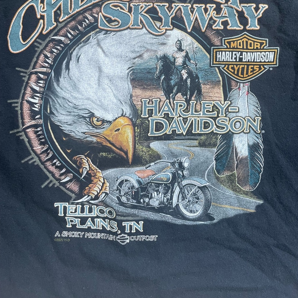 Harley-Davidson Tellico Plains TN Men’s tee in SZ Xl gently used condition
